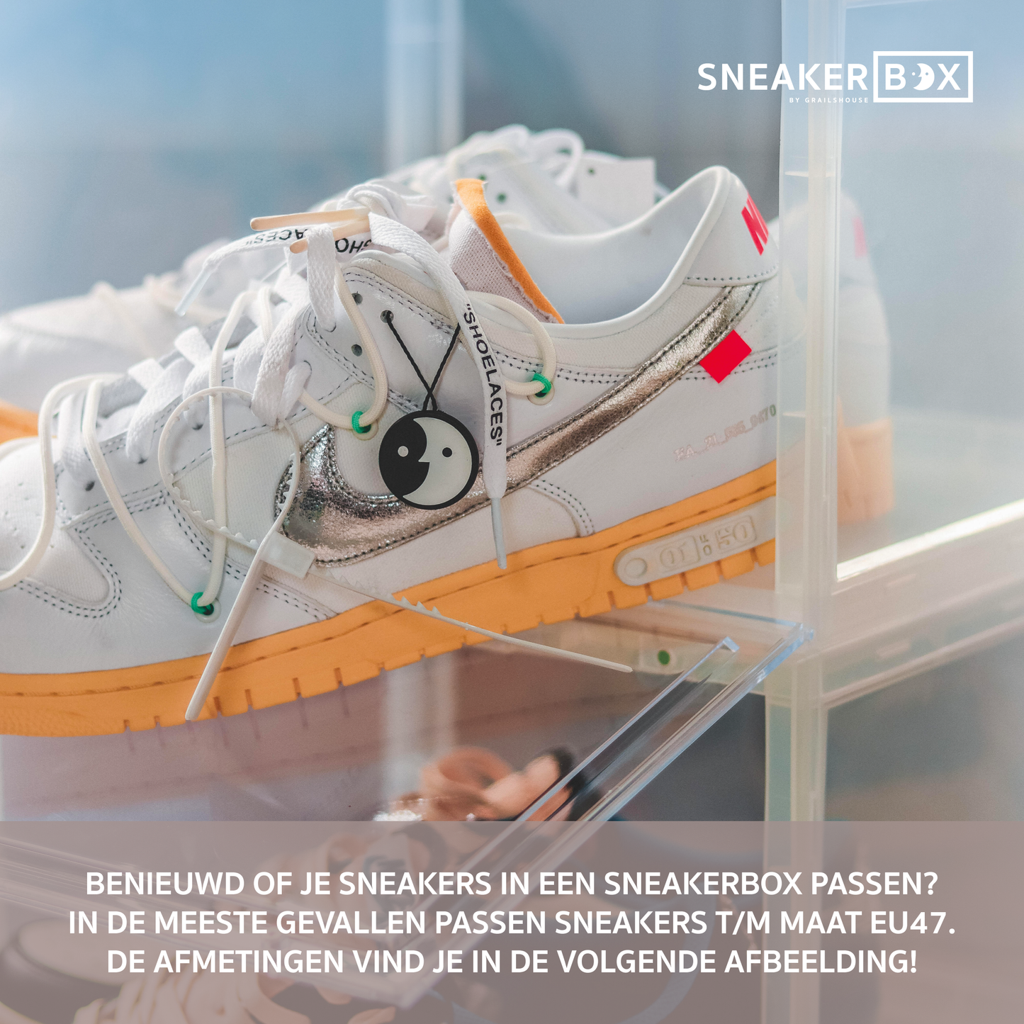 SneakerBox Transparant Display